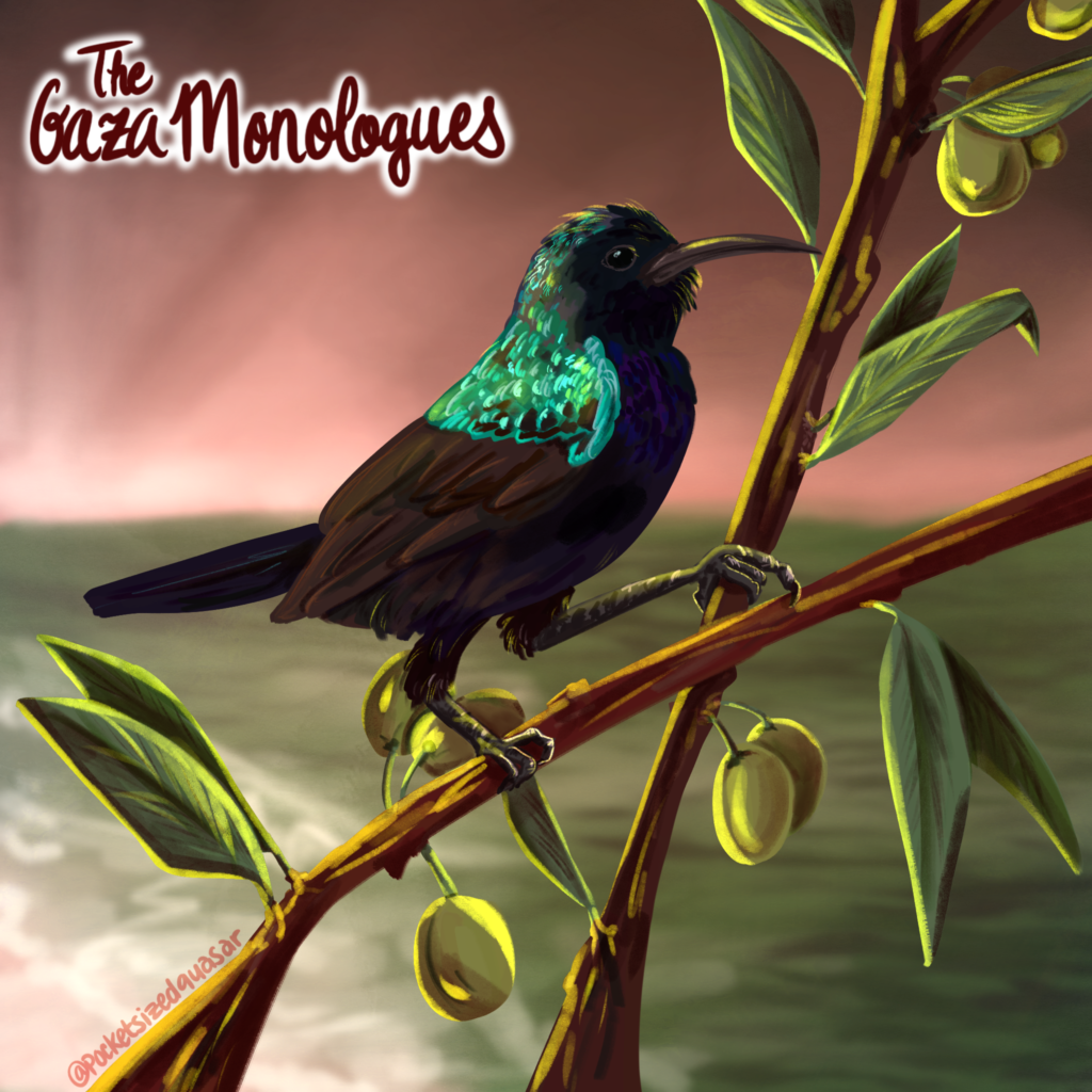 The Gaza Monologues logo: A digital painting of a Palestine sunbird sitting perched on olive branches. it is a small black and blue songbird with a teal-turquoise shimmer on its head and upper wings. In the background is a faded scene of a beach at sunset in the colors of the Palestinian flag: red, green, black, and white. Handwritten text at the top left reads, “The Gaza Monologues,” and the artist’s signature “@pocketsizedquasar” is written over one of the branches on the bottom left.